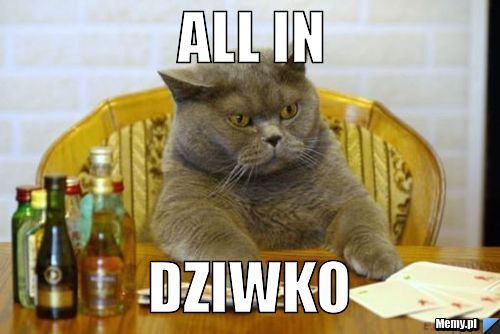 All in dziwko