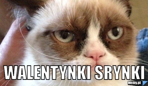  walentynki srynki
