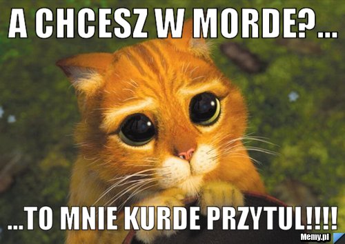 A chcesz w morde?... ...to mnie kurde przytul!!!!