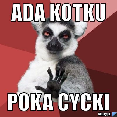 Ada kotku poka cycki