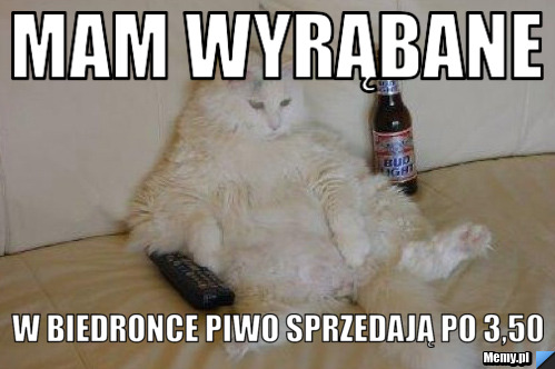 Mam wyrąbane W biedronce piwo sprzedają po 3,50