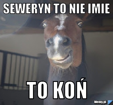 Seweryn to nie imie To KoŃ