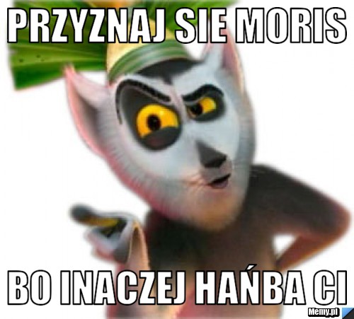 Przyznaj sie moris bo inaczej hańba ci