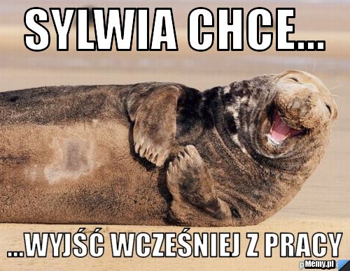 Sylwia chce... ...wyjść wcześniej z pracy