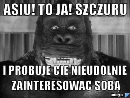 Asiu! To ja! Szczuru I probuje cie nieudolnie zainteresowac sobą