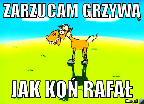 Zarzucam Grzywą JAK KOŃ RAFAŁ