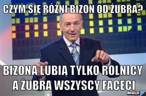 Czym się różni bizon od żubra? Bizona lubią tylko rolnicy a żubra wszyscy faceci