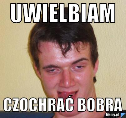 Uwielbiam Czochrać bobra
