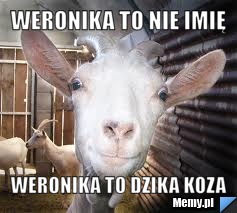 Weronika to nie imię weronika to dzika koza