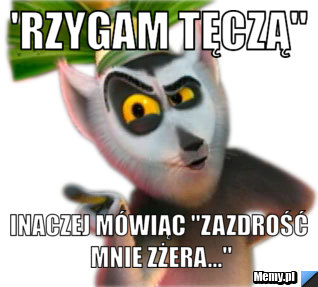 'Rzygam tęczą" inaczej mówiąc "zazdrość mnie zżera..."