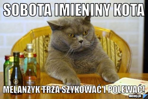 Sobota imieniny kota Melanżyk trza szykować i polewać!