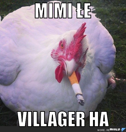 Mimi łe villager ha