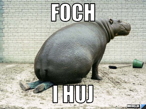 FOCH  I HUJ