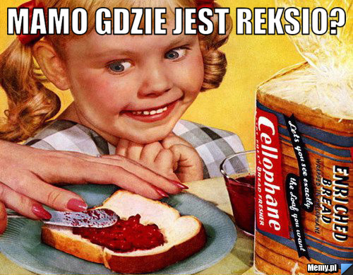 Mamo gdzie jest reksio? 