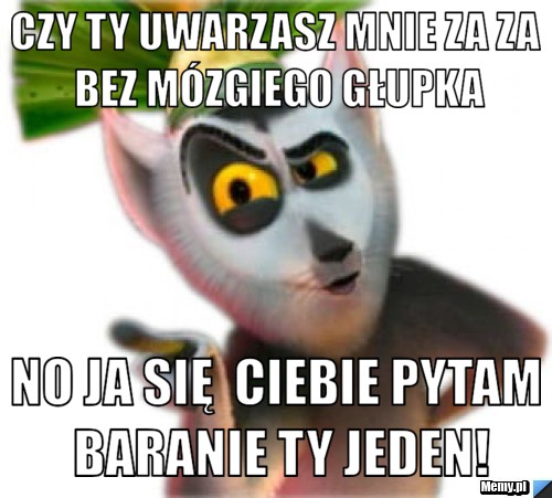 Czy ty uwarzasz mnie za za bez mózgiego głupka no ja się  ciebie pytam baranie ty jeden!