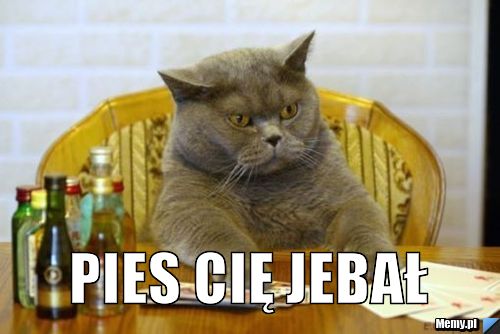  pies cię jebał