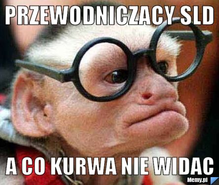 Przewodniczacy sld a co kurwa nie widac