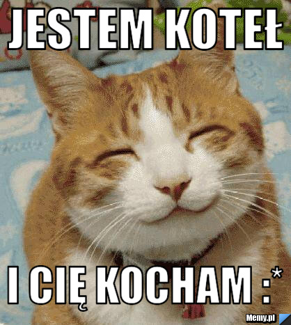 Jestem koteł I Cię kocham :*