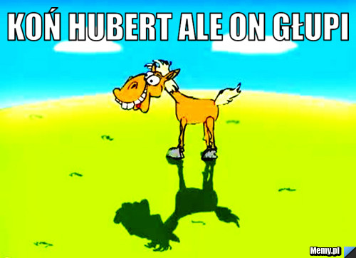 Koń hubert ale on głupi 