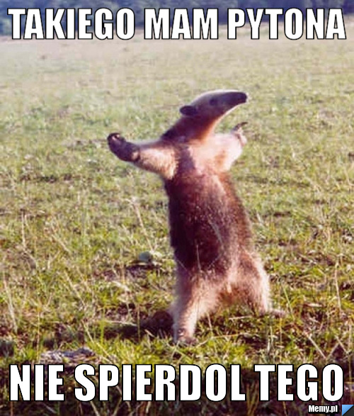 Takiego mam pytona nie spierdol tego