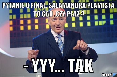 Pytanie o Finał. salamandra plamista to gad ,czy płaz ? - YYY... Tak