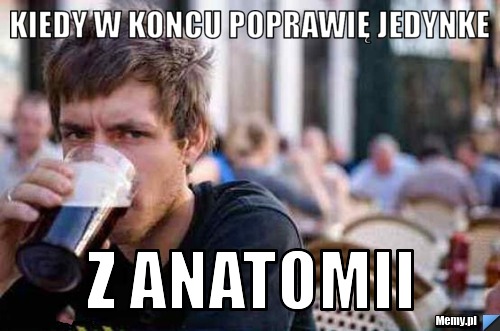 KIEDY W KONCU POPRAWIĘ JEDYNKE Z ANATOMII