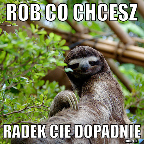 ROB CO CHCESZ RADEK CIE DOPADNIE