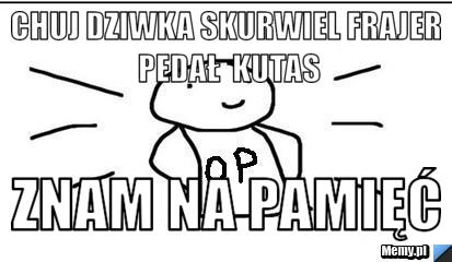 Chuj dziwka skurwiel frajer pedał  kutas znam na pamięć 
