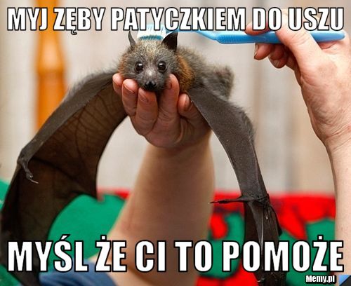 Myj zęby patyczkiem do uszu  myśl że Ci to pomoże 