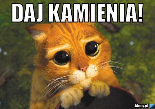 DAJ KAMIENIA! 