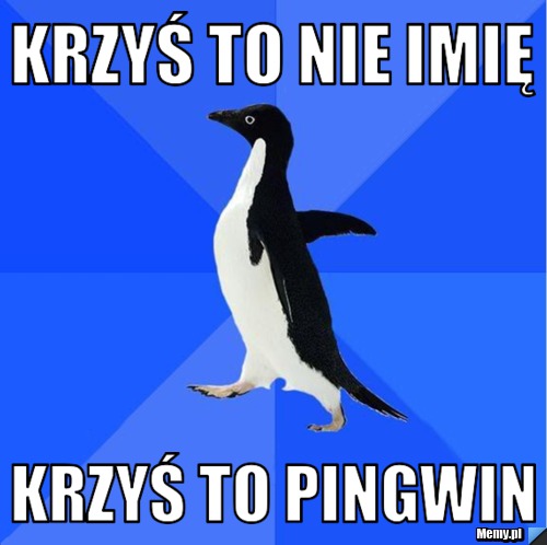 Krzyś to nie imię Krzyś to pingwin
