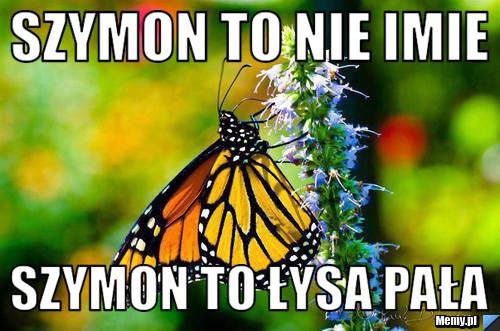 Szymon to nie imie szymon to łysa pała
