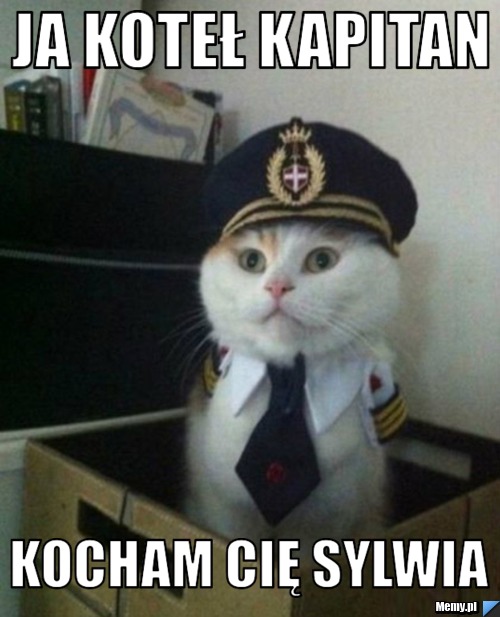 JA KOTEŁ KAPITAN KOCHAM CIĘ SYLWIA