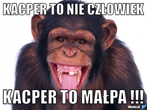 Kacper to nie człowiek Kacper to małpa !!!