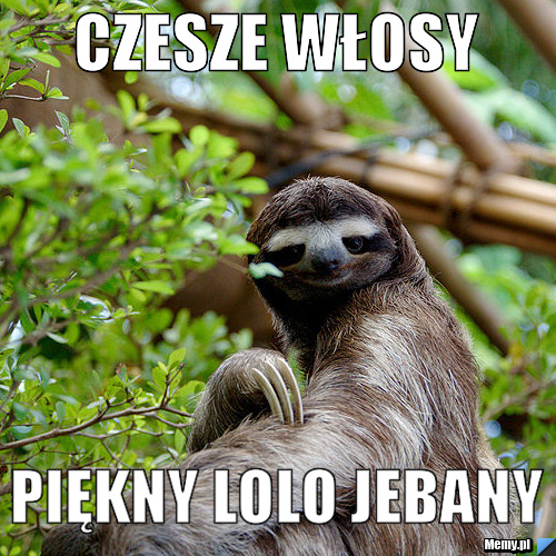 Pi?kny lolo jebany Piękny lolo jebany