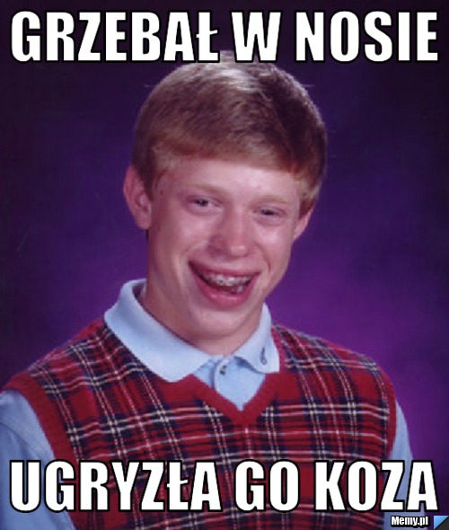 Grzebał w nosie ugryzła go koza