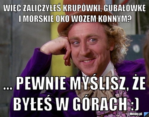 Więc zaliczyłeś Krupówki, Gubałówkę i Morskie Oko wozem konnym? ... pewnie myślisz, że byłeś w górach :)
