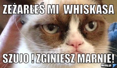 Zeżarłeś mi  whiskasa szujo ! zginiesz marnie!