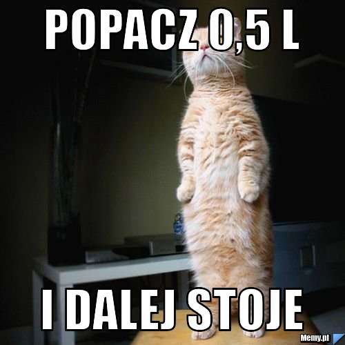 Popacz 0,5 l i dalej stoje