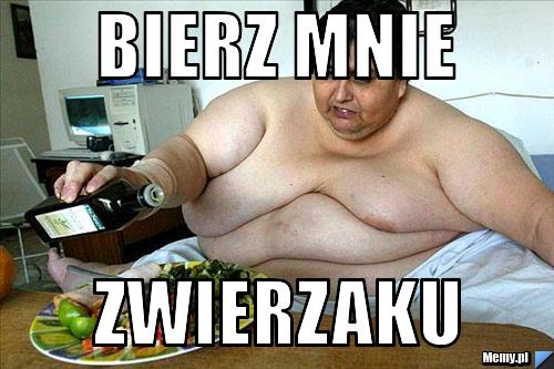 Bierz mnie zwierzaku