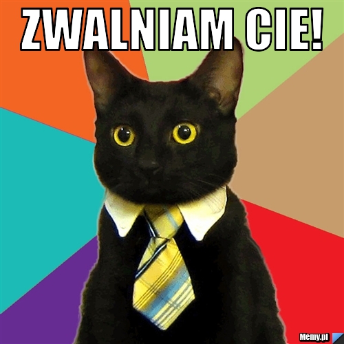 ZWALNIAM CIE! 