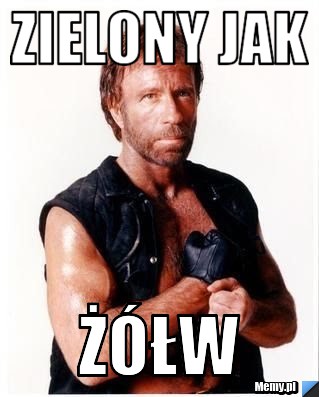 Zielony jak  Żółw