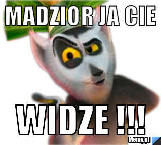 Madzior ja cie widze !!!