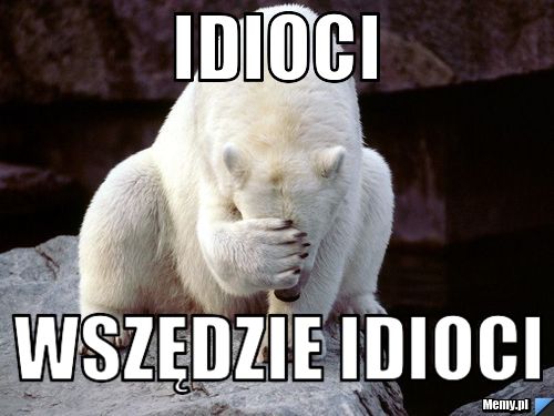 Idioci wszędzie idioci