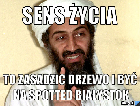 Sens życia to zasadzic drzewo i być na spotted białystok