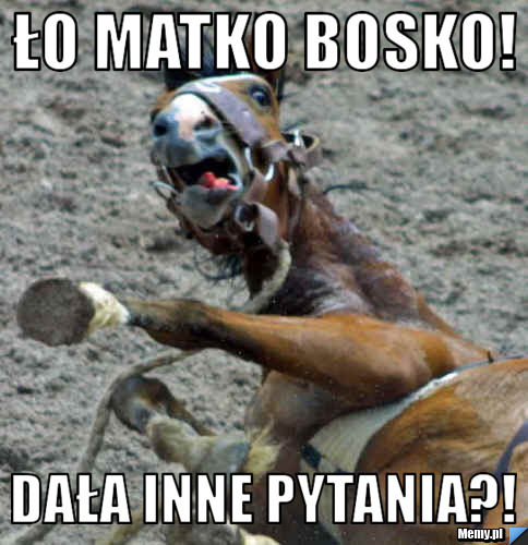 Ło matko bosko! Dała inne pytania?!