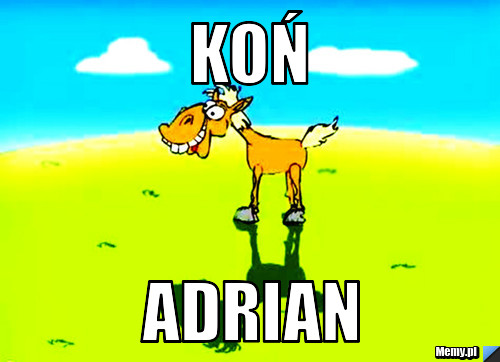 Koń Adrian