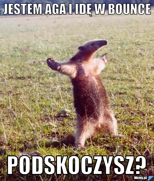 Jestem Aga i idę w bounce Podskoczysz?