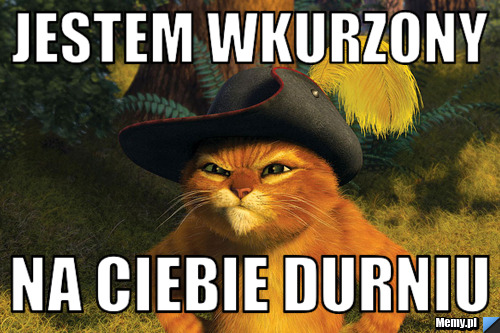 Jestem Wkurzony Na ciebie durniu