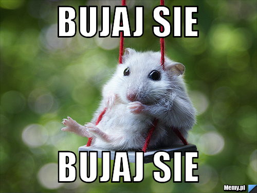 Bujaj sie  bujaj sie